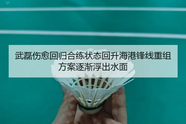 武磊伤愈回归合练状态回升海港锋线重组方案逐渐浮出水面